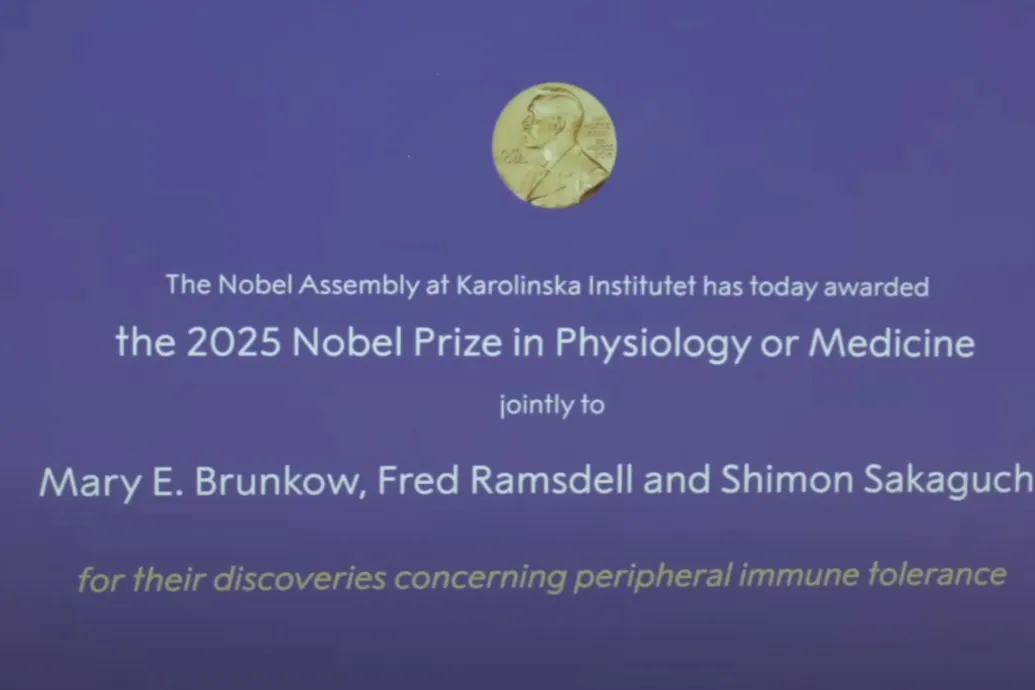 Azt vizsgálták, hogy tartjuk kordában az immunrendszerünk, ezért járt az élettani-orvosi Nobel-díj