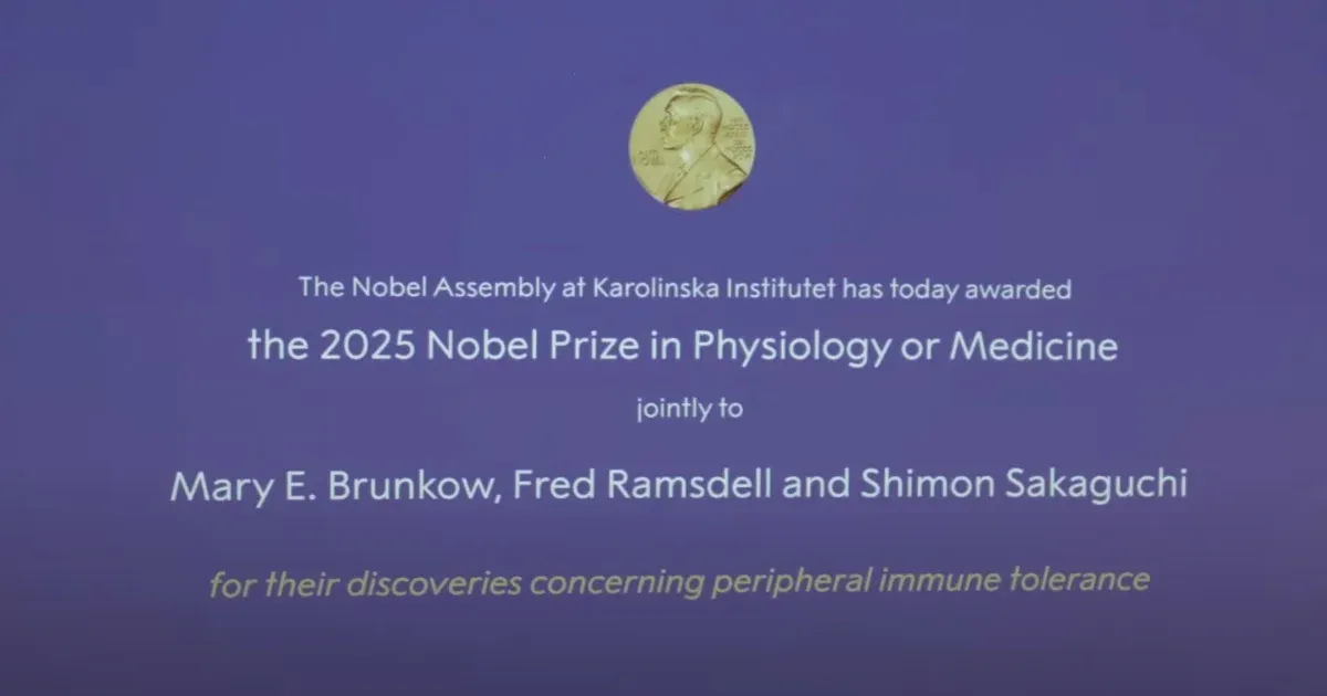 Azt vizsgálták, hogy tartjuk kordában az immunrendszerünk, ezért járt az élettani-orvosi Nobel-díj
