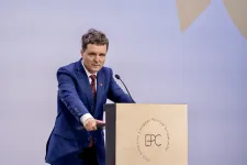 A Koppenhágában bemutatott Georgescu-jelentés szerint nem feltétlenül Georgescu győzelme volt a cél, hanem Románia gyengítése