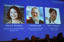 Azt vizsgálták, hogy tartjuk kordában az immunrendszerünket, ezért járt az élettani-orvosi Nobel