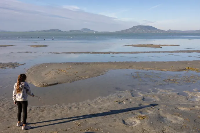 Vízügy: Pánikra nincsen ok, a Balaton egy sekély tó