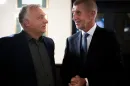 Orbán rég várt uniós erősítést kaphat Babišsal