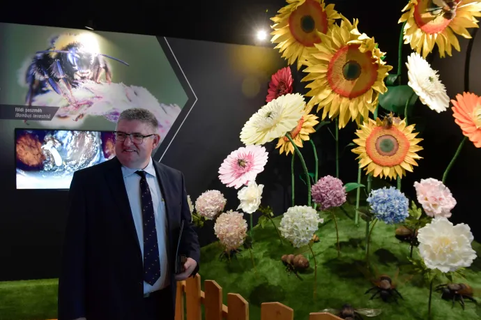 A Mészáros-féle Opus Global igazgatósági elnöke csak egyet kérne Orbántól: azt, hogy beszélgessen el a felcsúti focistákkal