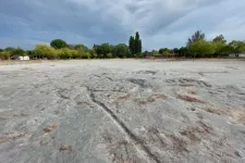A Velencei-tó medrében is sétálni lehet, annyira kevés a víz