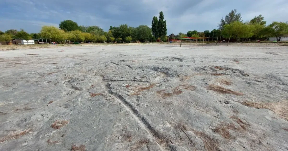 A Velencei-tó medrében is sétálni lehet, annyira kevés a víz