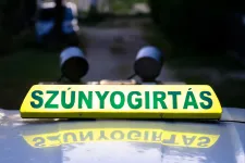 Tele van ázsiai tigrisszúnyoggal a Hegyvidék