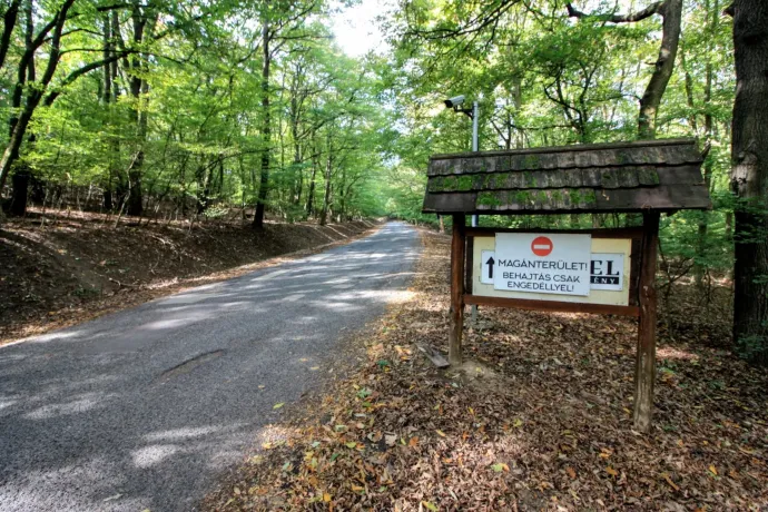 Beidézte a rendőrség Nadap egyik képviselőjét, miután tiltakozott, hogy a belügyminiszter veje lekerítette az erdőt