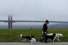 San Francisco szabados kutyái sokan vannak, és roppant illetlenek
