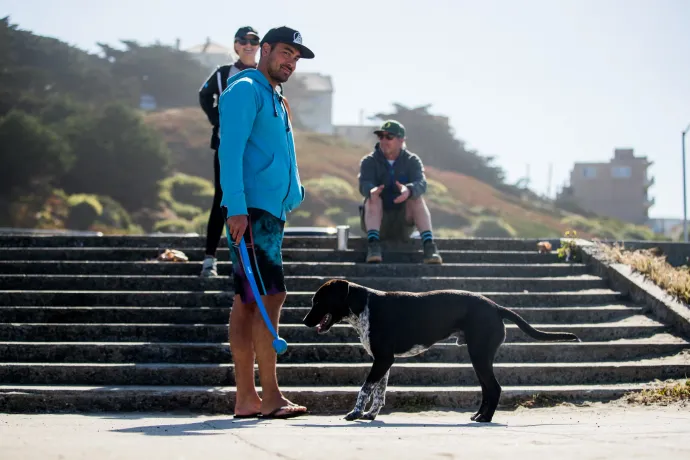 Kutyások egy parkban San Franciscóban – Fotó: Rich Fury / Getty Images