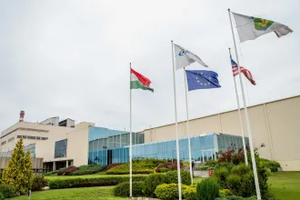 Eladják az orosházi síküveggyárat, közel 10 milliárd forintért hirdették meg