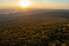 Hétvégén újra 20 fokok lesznek, eső csak elvétve várható