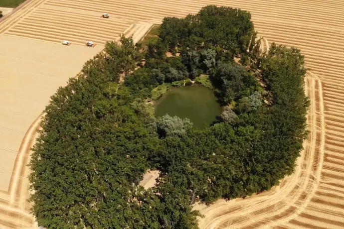 Gázrobbanásból lett csendes oázis a Hortobágy szélén