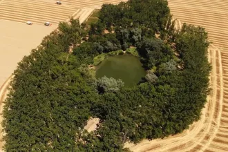 Gázrobbanásból lett csendes oázis a Hortobágy szélén