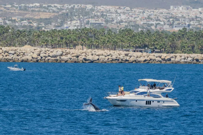 Már 100 vagyonkezelő alapítvány van Magyarországon