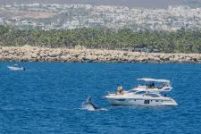 Már 100 vagyonkezelő alapítvány van Magyarországon