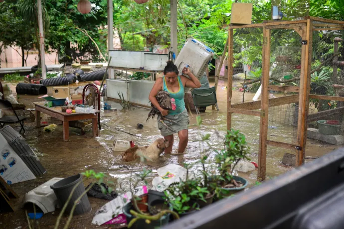 Fotó: Marco Antonio Perez / AFP or licensors