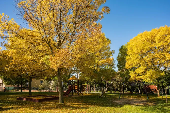 Száraz, őszi időre készülhetünk a jövő héten