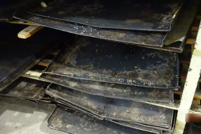 Rovartetemek, lejárt ételek: igen koszos pékséget záratott be a Nébih Tiszavasváriban