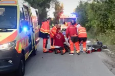 Őzzel ütközött egy elektromos rolleres, a férfi meghalt és az állat is elpusztult