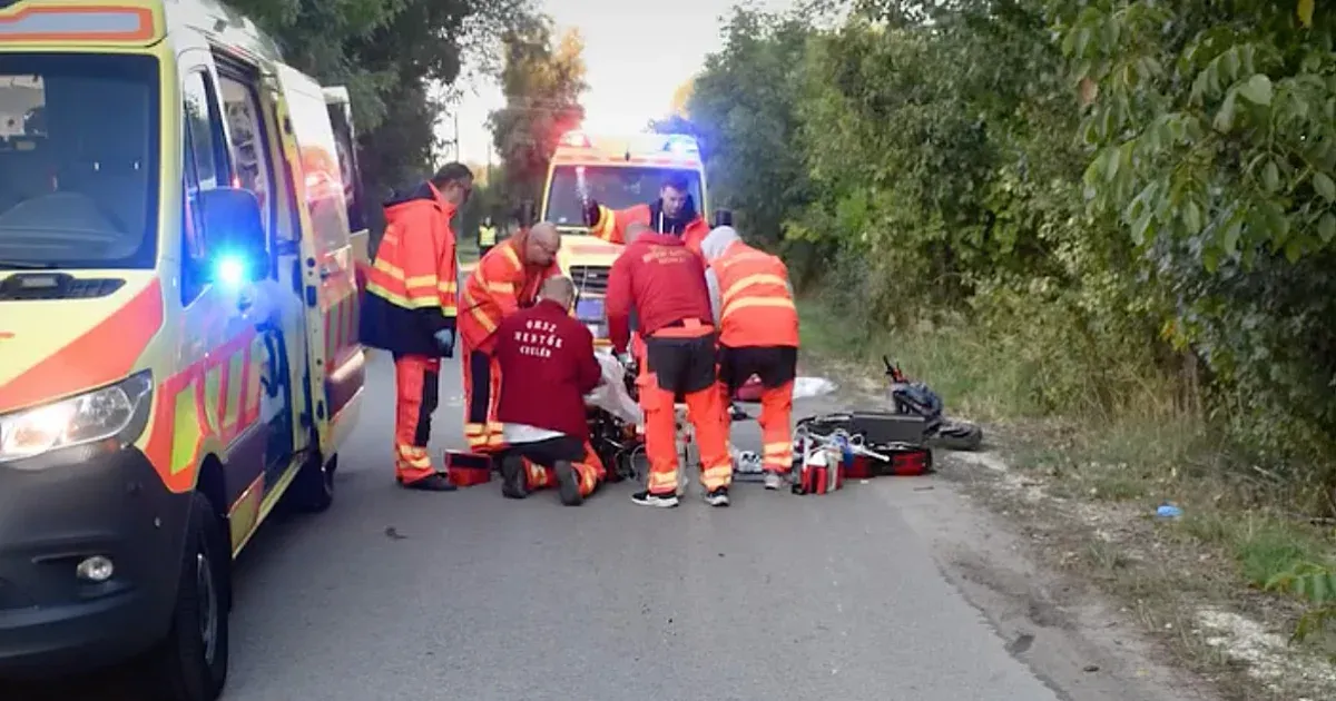 Őzzel ütközött egy elektromos rolleres, a férfi meghalt és az állat is elpusztult