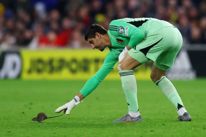 Egy pályára beszaladó patkány miatt kellett megállítani a Belgium elleni vb-selejtezőt Cardiffban