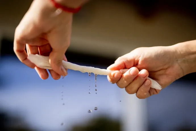 Fotó: Képszerkesztőség / Tuba Zoltán