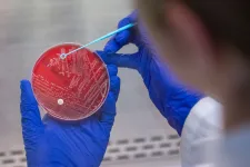 Egyre kevésbé hatnak az antibiotikumok, és ez már az orvostudomány jövőjét is veszélyezteti