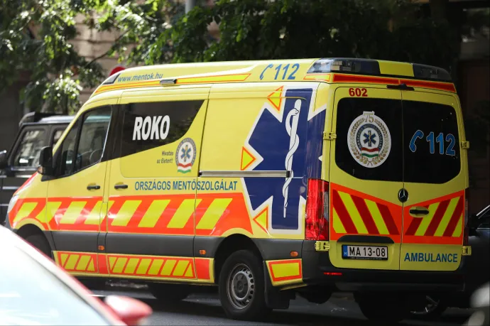 Megint Mészáros Lőrinc cége nyert, 10 milliárdért javíthatja a Mentőszolgálat autóit