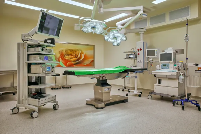 Fotó: Dr. Rose Magánkórház / Pixbar Photo