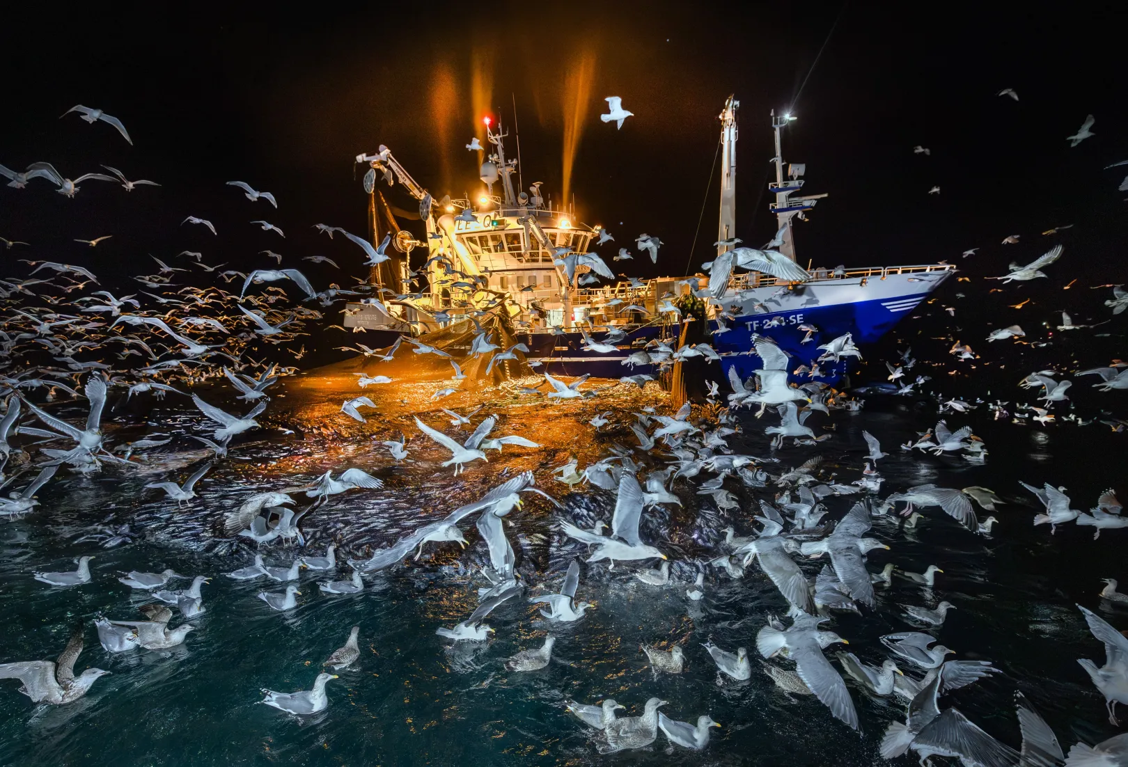 Fotó: Audun Rikardsen / Wildlife Photographer of the Year