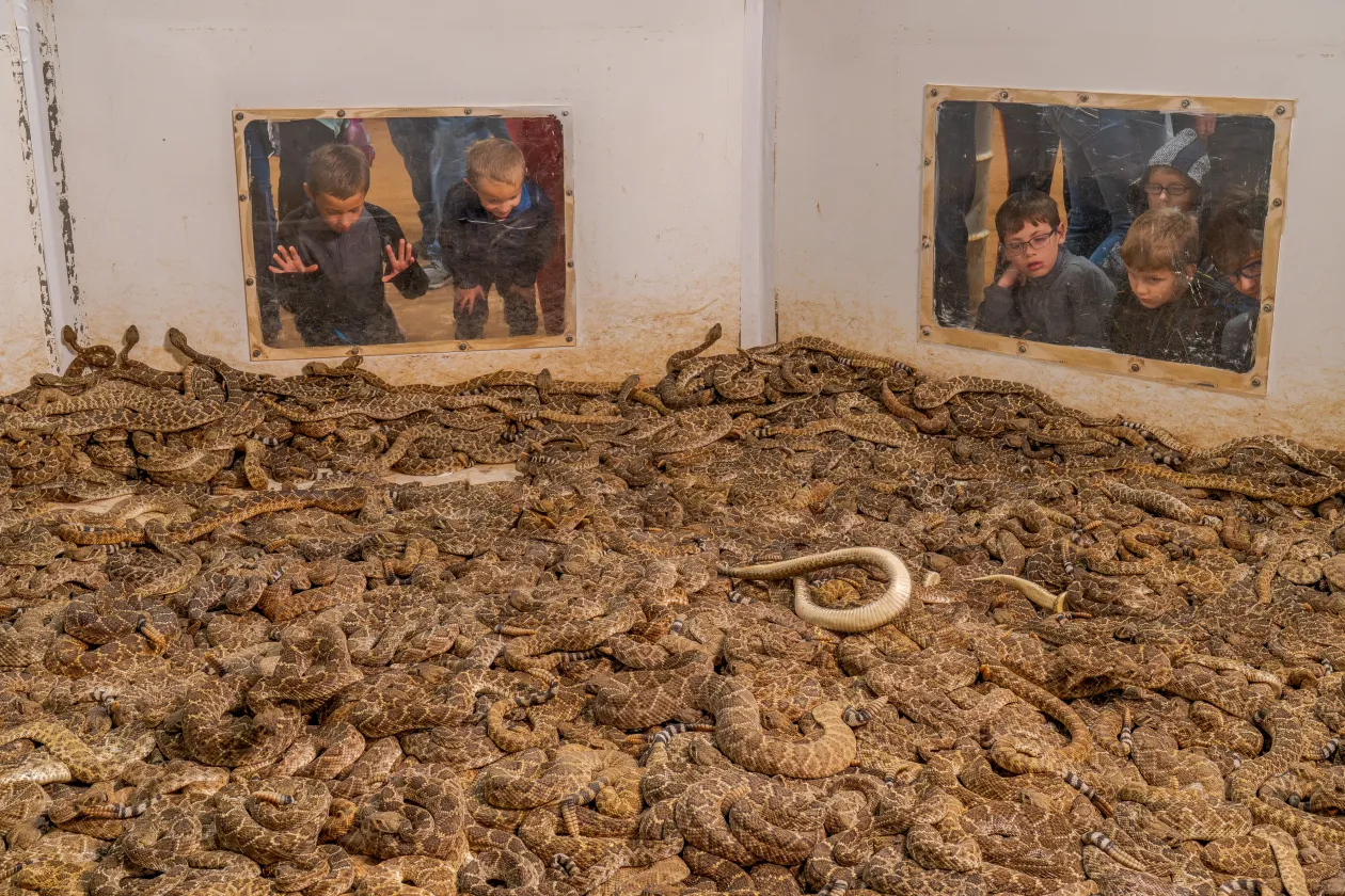 Fotó: Javier Aznar González / Wildlife Photographer of the Year