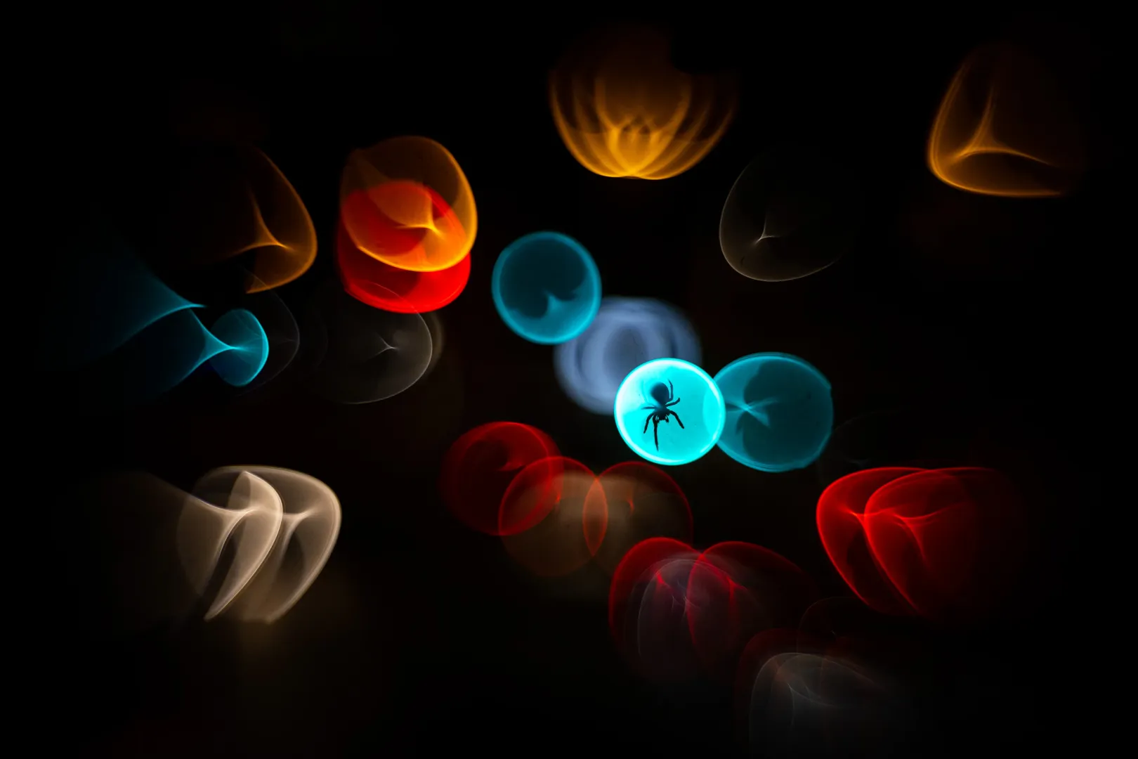 Fotó: Simone Baumeister / Wildlife Photographer of the Year