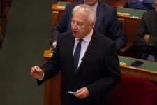 A Zsolti bácsi-üggyel megérkeztünk a törzsi társadalomba