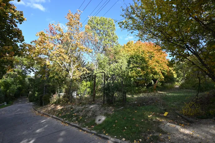 A telek, ami közpark – Fotó: Tenczer Gábor / Telex