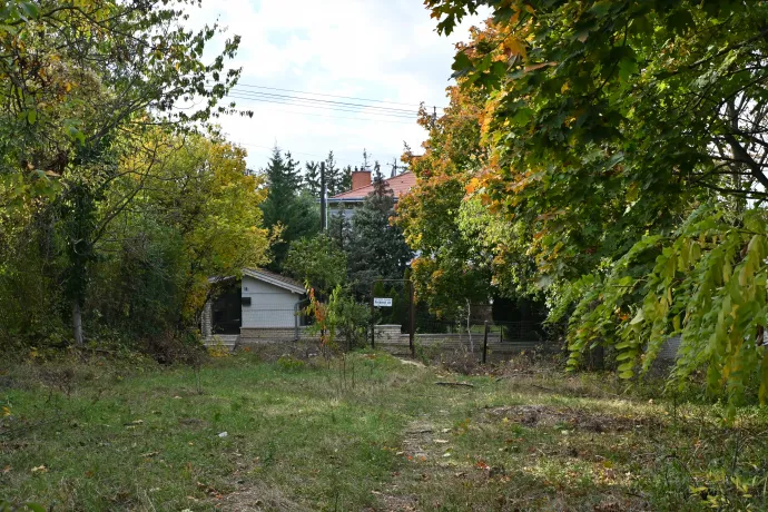 A telek, ami közpark – Fotó: Tenczer Gábor / Telex