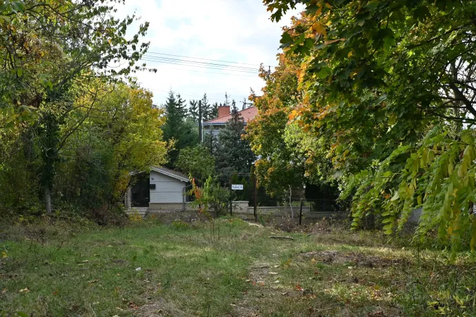 Tibor tudtán kívül közparkot vásárolt a Kis-Sváb-hegyen, majd jött a meglepetés