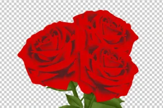 Ughy Szabina: Zongoraszó