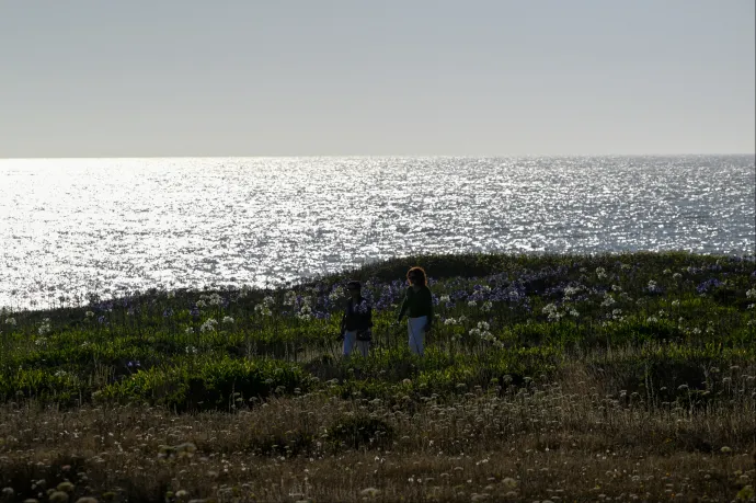 Rejtélyes és váratlan tengeri hőhullám zavarta össze a klímakutatókat az északi Csendes-óceánon