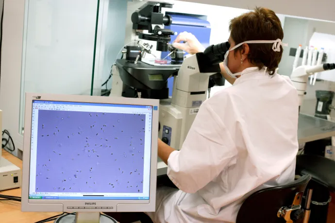 Ahogy öregszenek a férfiak, úgy szaporodnak a káros mutációk a spermiumaikban