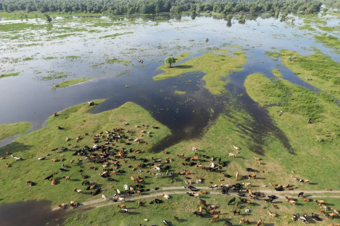 Magánzsebekben landoltak a Duna-delta fejlesztésére szánt uniós milliárdok, az Európai Ügyészség újabb vádat emelt