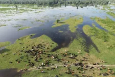 Magánzsebekben landoltak a Duna-delta fejlesztésére szánt uniós milliárdok, az Európai Ügyészség újabb vádat emelt