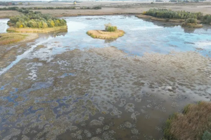 Ötven éve nem volt ilyen kevés víz a Kolon-tóban, ami rámutat a Homokhátság tragédiájára is