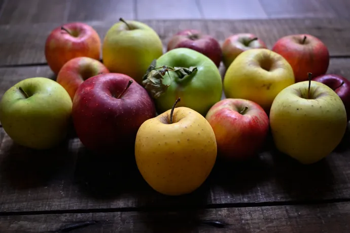 Fotó: Mondovics Péter / Telex