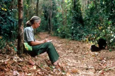 Kiderült, hogy mi okozta Jane Goodall halálát