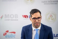 Káoszról, irreálisan magas fizetésekről írnak a korábbi bokszelnök vezette szövetségről készült jelentésben