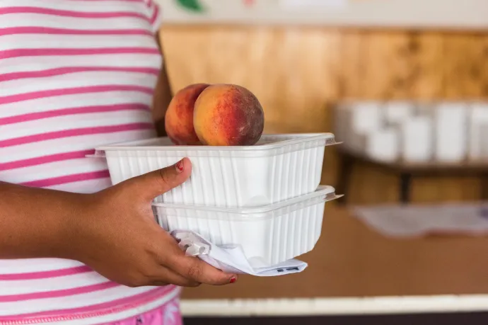 Napi 4000 forintra emeli a kormány a gyermekvédelemben élők étkeztetési keretét