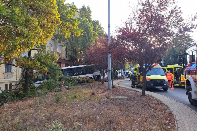 Fotó: Olvasói fotó / Telex