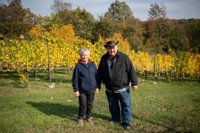 Tuboly Zoltán és felesége a szőlőjükben Tormaföldén – Fotó: Bődey János / Telex