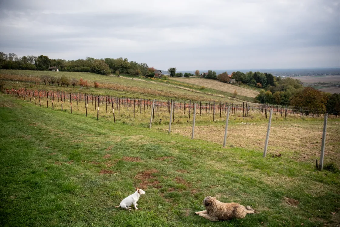 13 éve tudjuk, hogy itt van. 13 éve könyörögtünk a politikusoknak, hogy valaki foglalkozzon vele