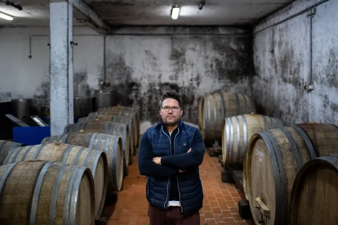 Kis Tamás a csörnyeföldi Bussay Pincében, illetve a pincészet kivágott tőkéinek hűlt helye – Fotó: Bődey János / Telex